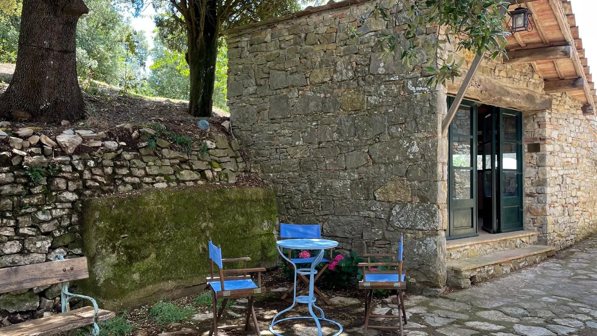 Agriturismo Cetamura Castelnuovo Berardenga Farm stay